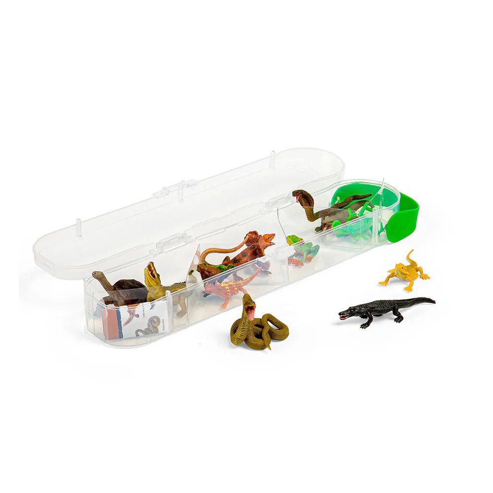 Collecta Mini Reptiles and Amphibians Tube - Timeless Toys