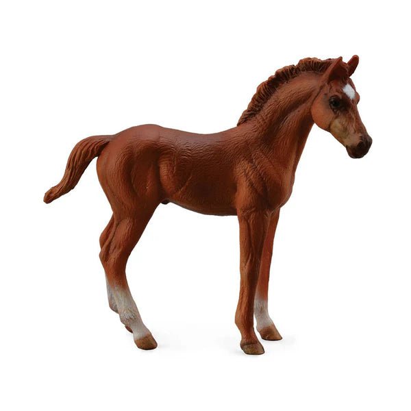 CollectA Thoroughbred Chestnut Foal - Timeless Toys