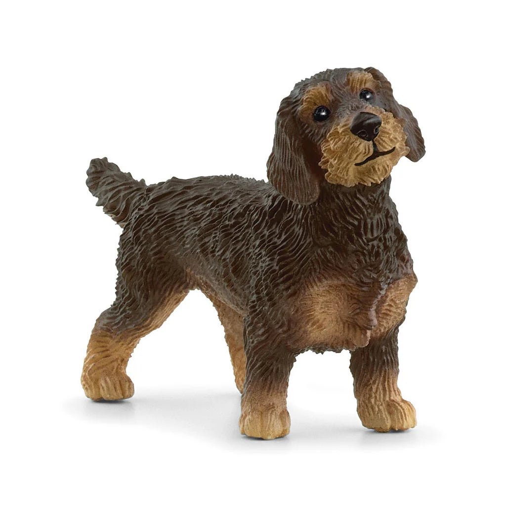 Schleich Farm World - Wire - Haired Dachshund - Timeless Toys