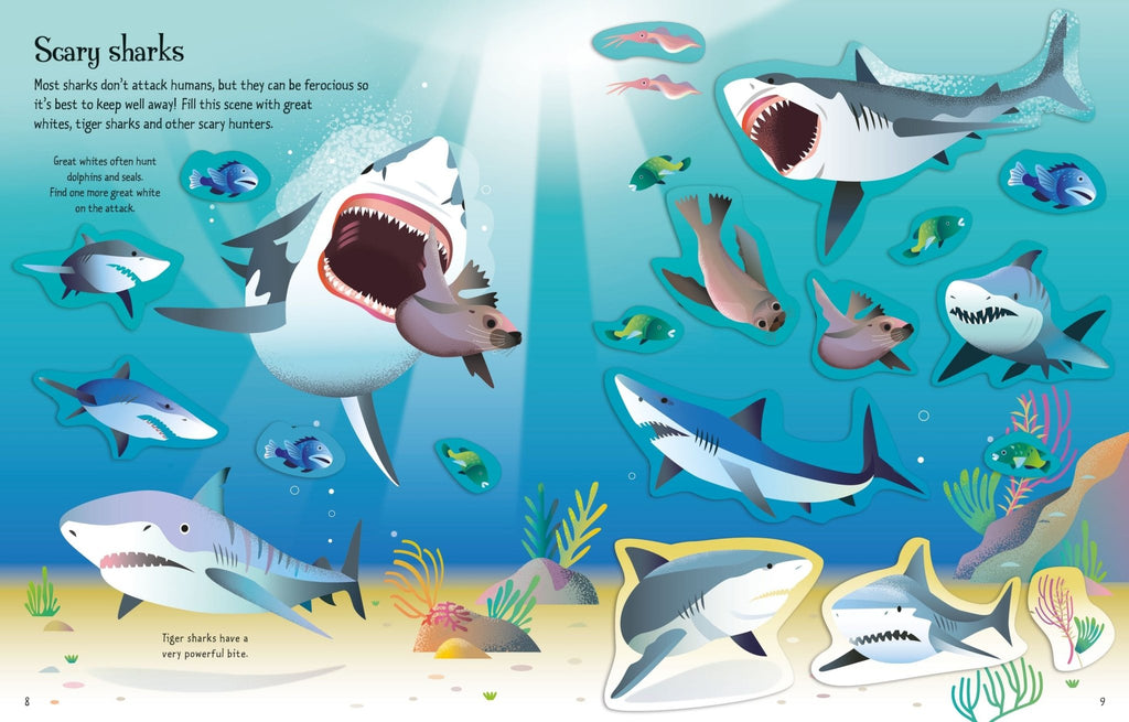 Usborne: First Sticker Book - Sharks and Rays - 3yrs+ - Timeless Toys