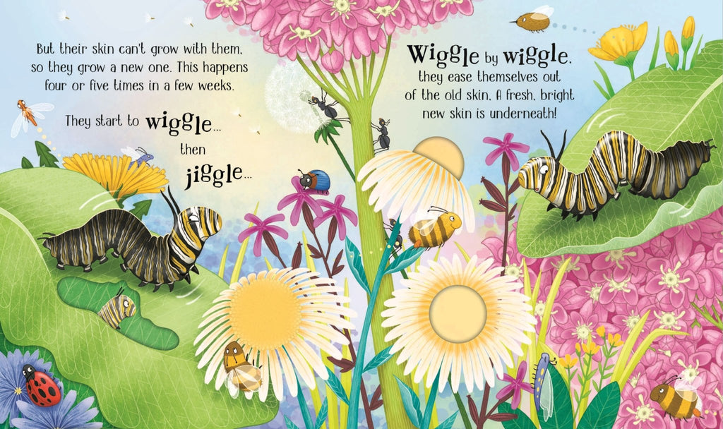 Usborne Life Cycles: One Little Butterfly - 2yrs+ - Timeless Toys