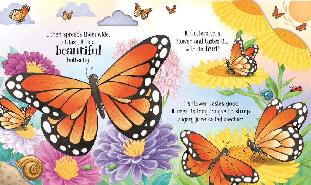 Usborne Life Cycles: One Little Butterfly - 2yrs+ - Timeless Toys