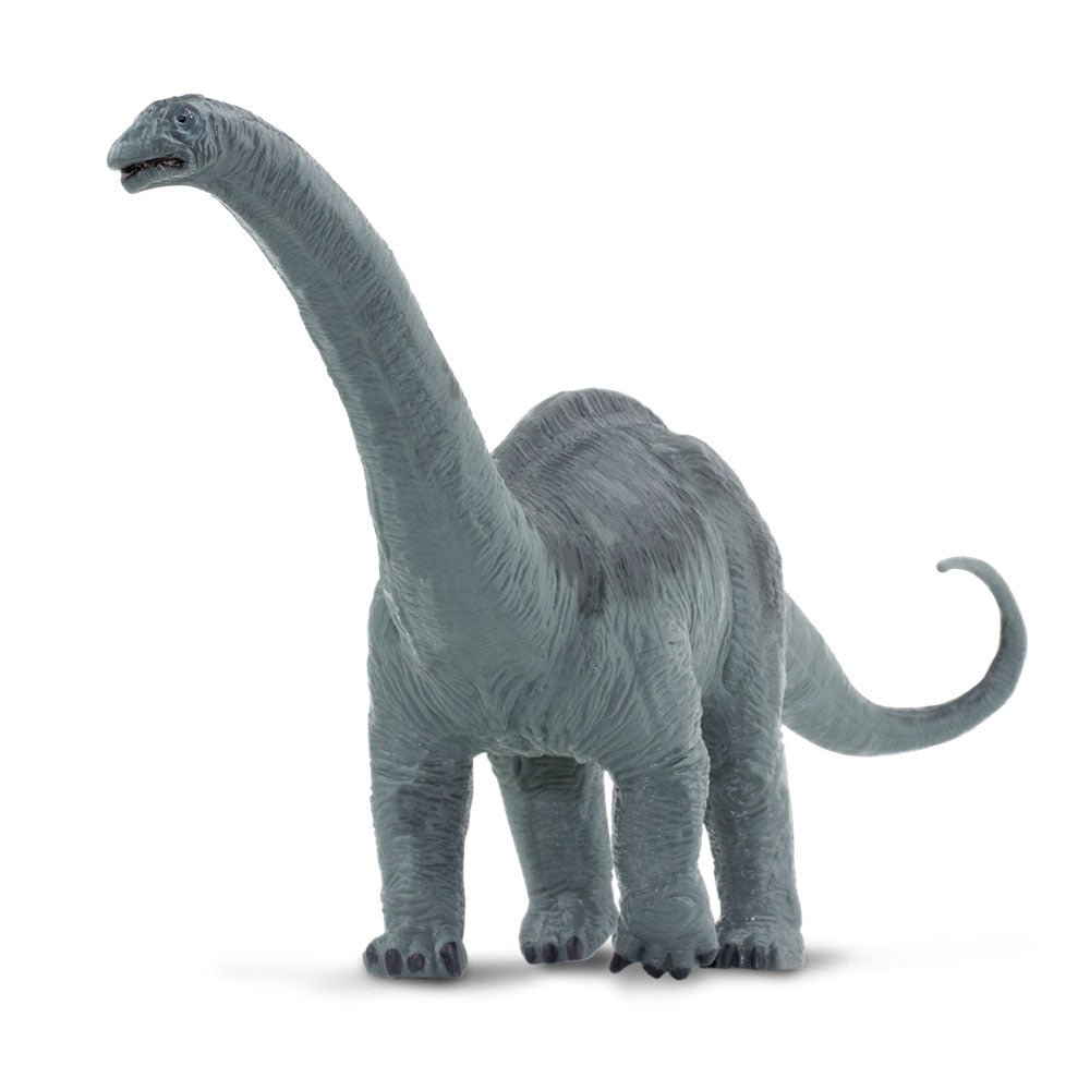 Apatosaurus by Safari Ltd - Timeless Toys