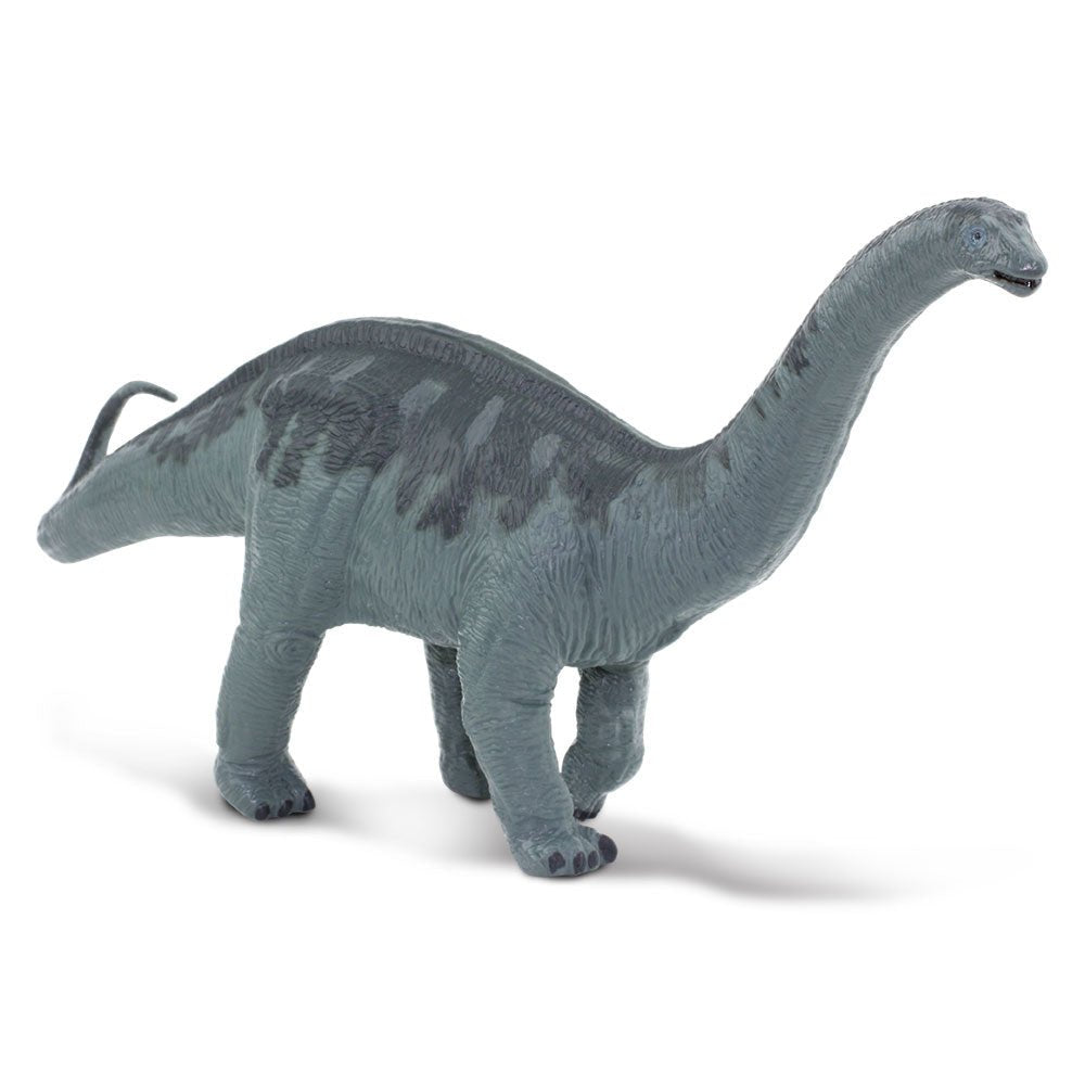 Apatosaurus by Safari Ltd - Timeless Toys