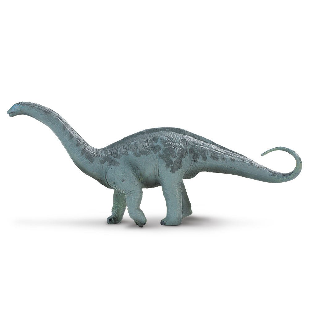 Apatosaurus by Safari Ltd - Timeless Toys