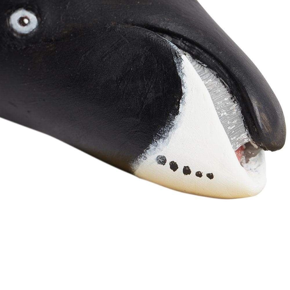 Bowhead Whale by Safari Ltd - Timeless Toys