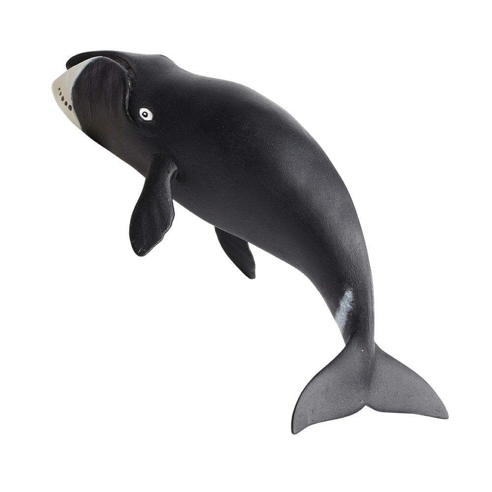 Bowhead Whale by Safari Ltd - Timeless Toys