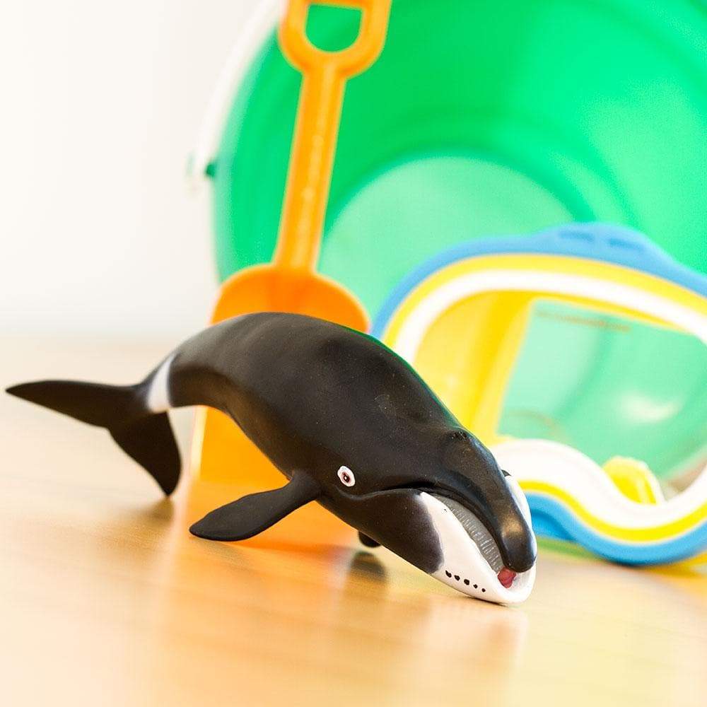 Bowhead Whale by Safari Ltd - Timeless Toys