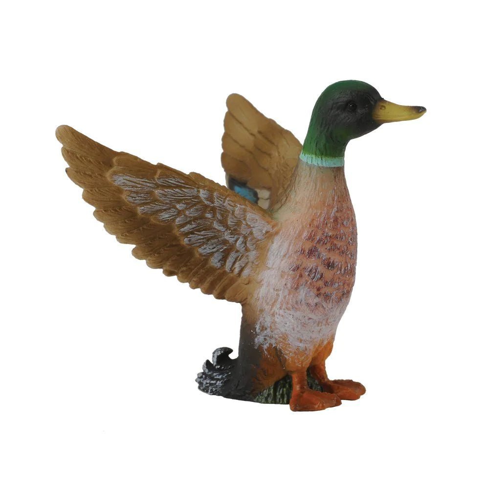 CollectA - Male Mallard Duck - Timeless Toys