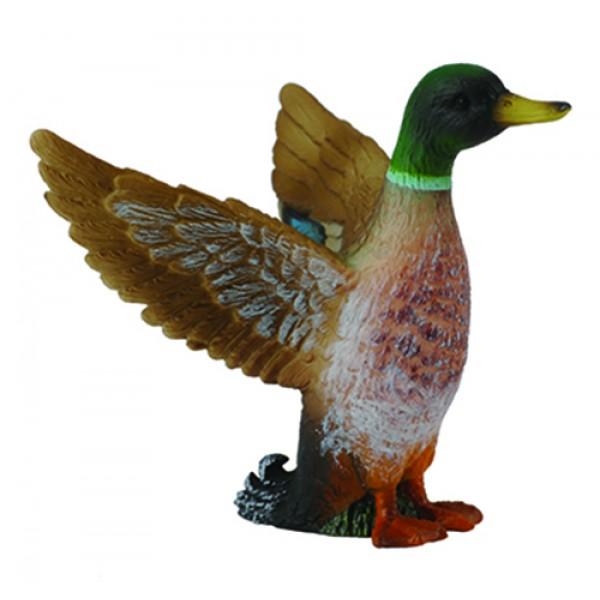 CollectA - Male Mallard Duck - Timeless Toys