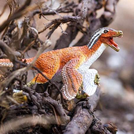 Feathered Velociraptor - Safari Ltd - Timeless Toys