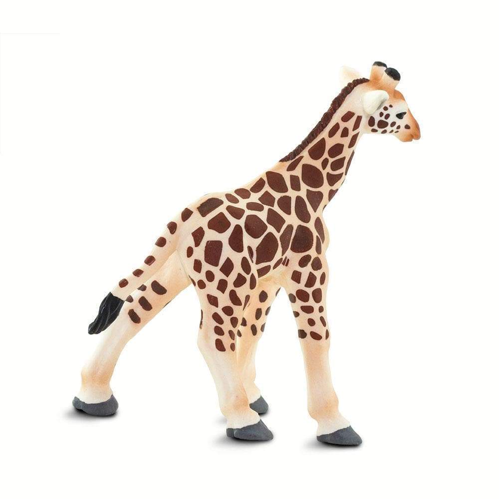 Giraffe Baby - Safari Ltd - Timeless Toys