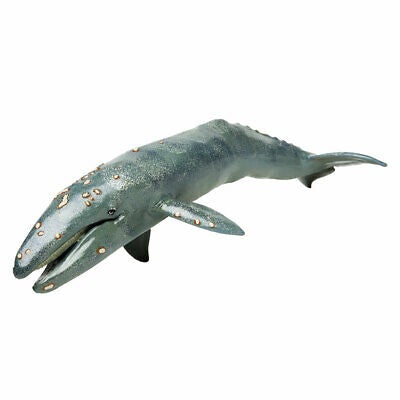 Gray Whale by Safari Ltd - Timeless Toys