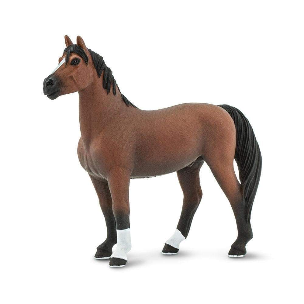 Morgan Stallion by Safari Ltd - Timeless Toys