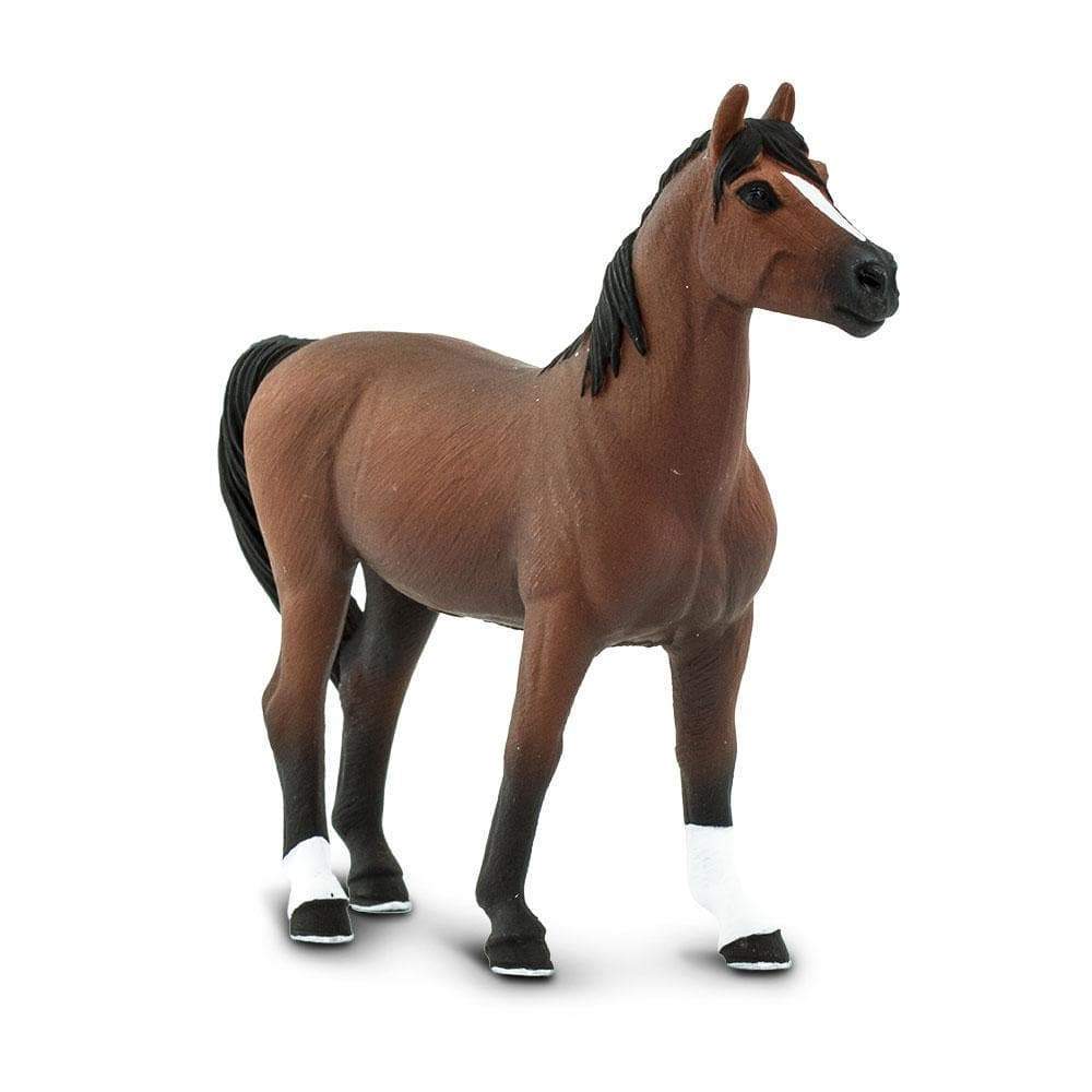 Morgan Stallion by Safari Ltd - Timeless Toys