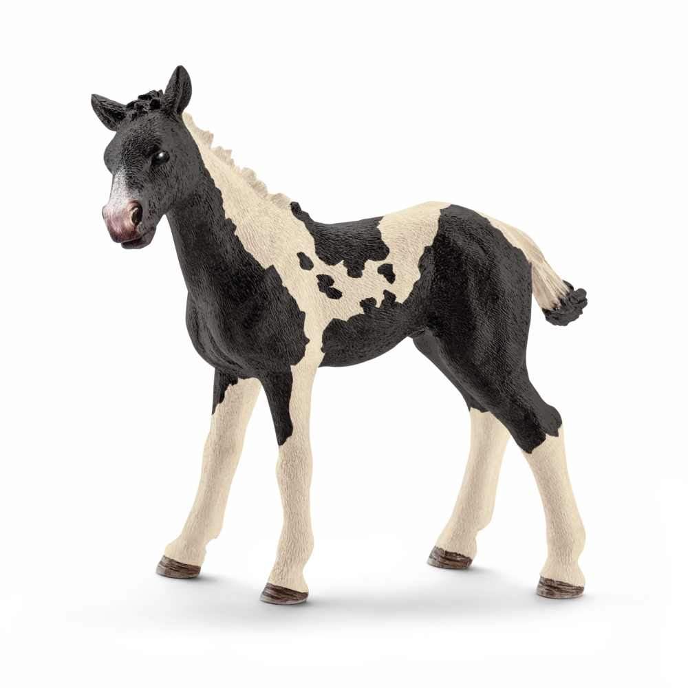 Schleich Farm World - Pinto Foal - Timeless Toys