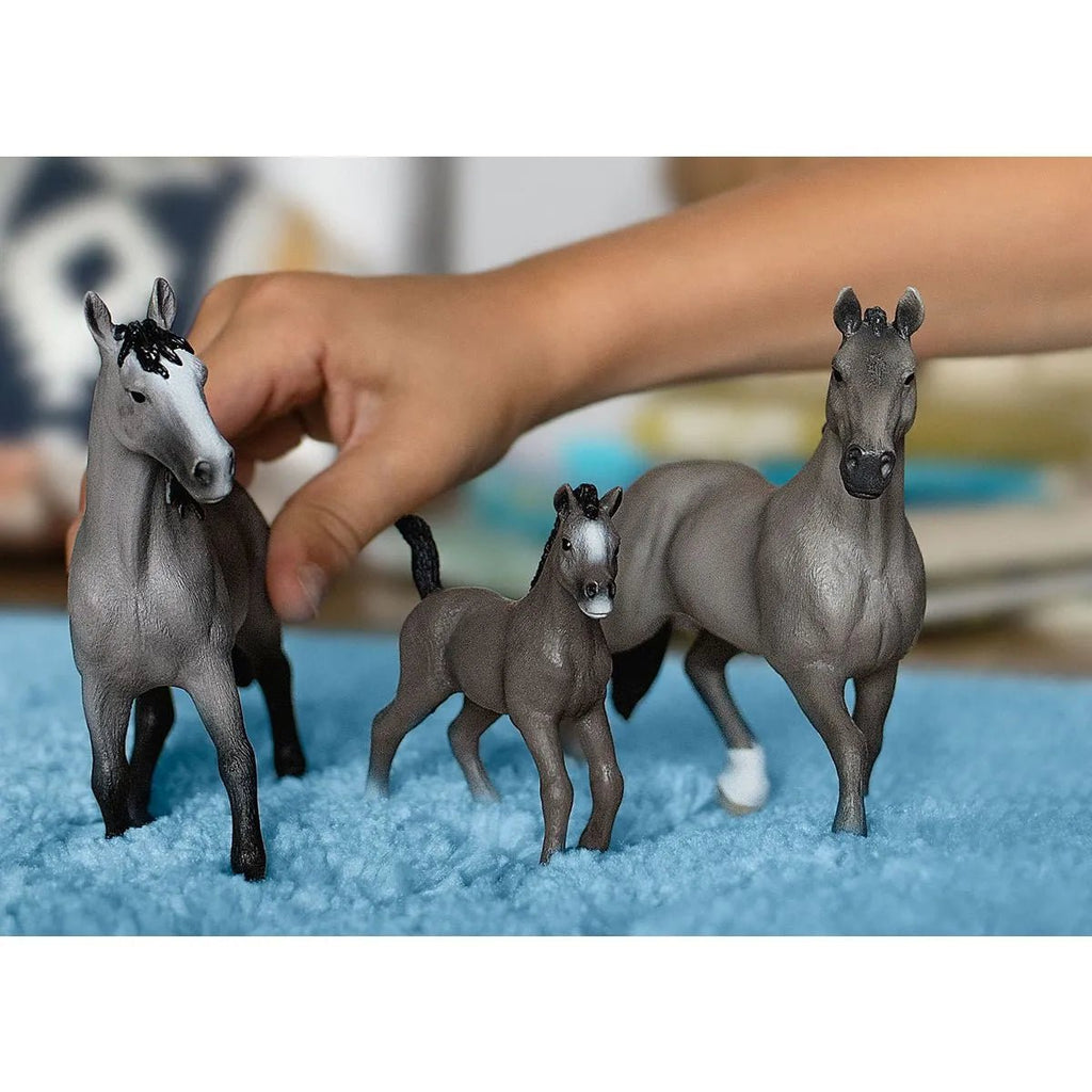 Schleich Horse Club - Selle Francais Mare - Timeless Toys