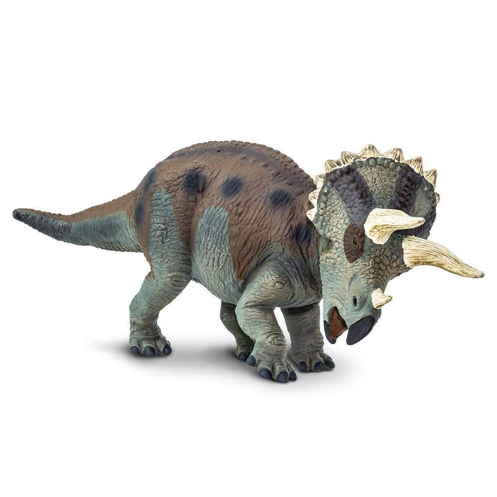 Triceratops by Safari Ltd - Timeless Toys